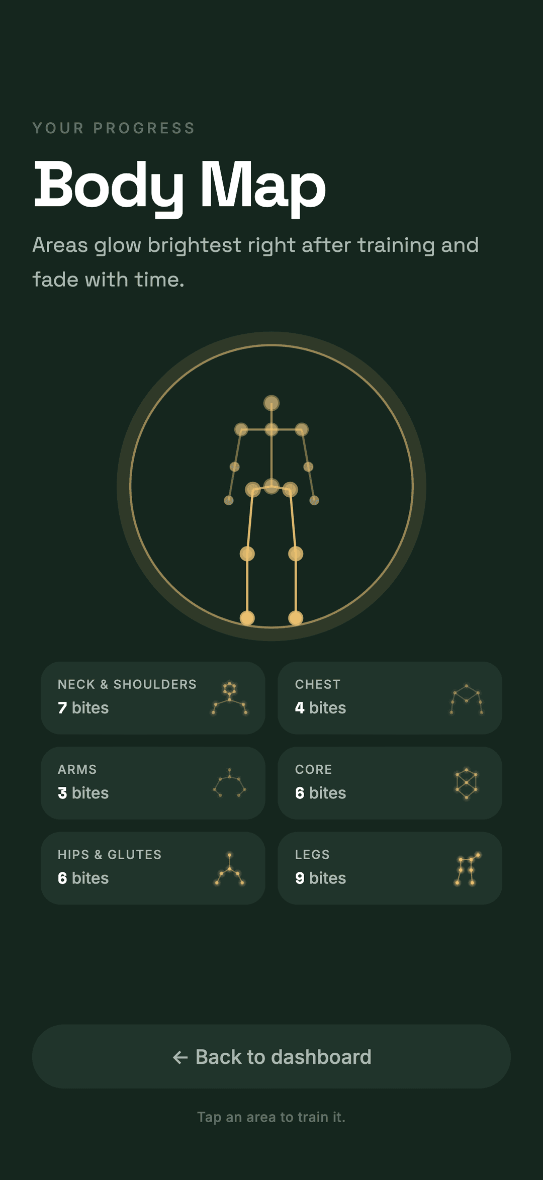 Body Map with glowing trained areas